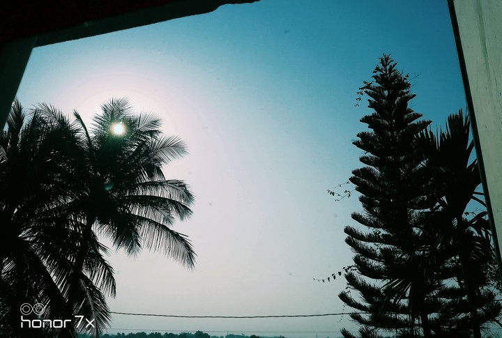 My nature
