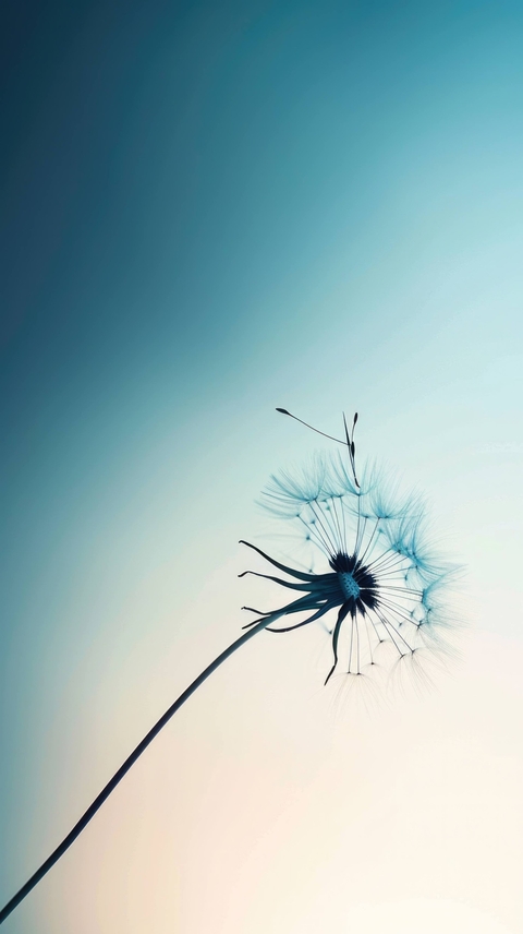 wind, pedicel achtergronden