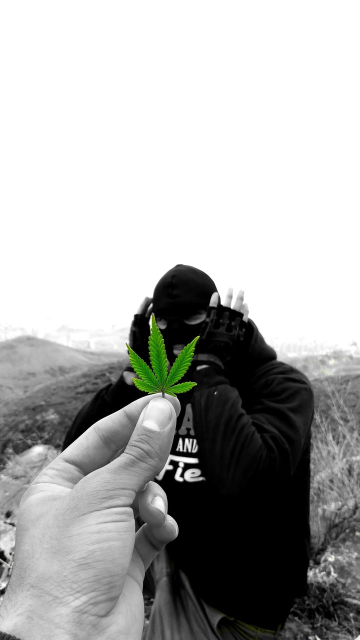 weed