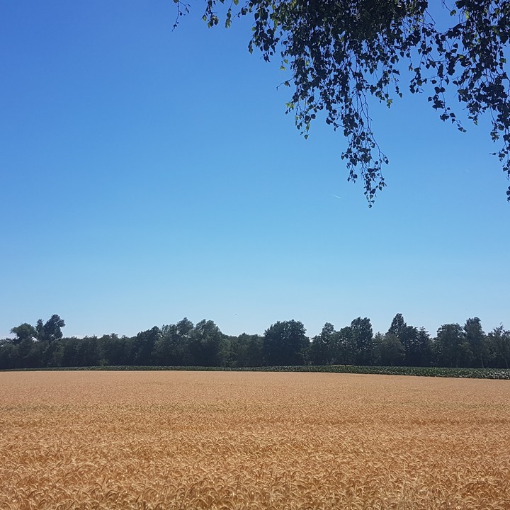 Becklem