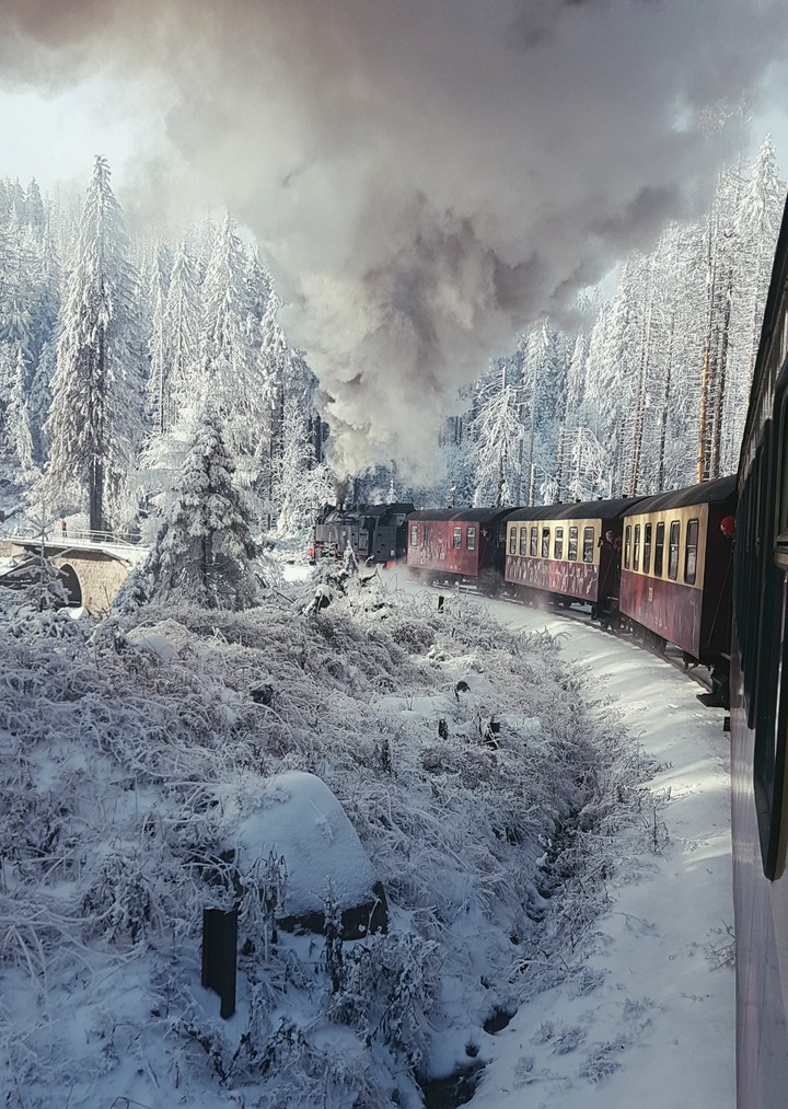 Winterwonderland
