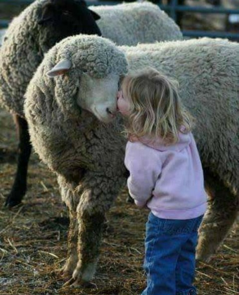 nice pic
