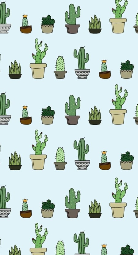 Cute cactus image