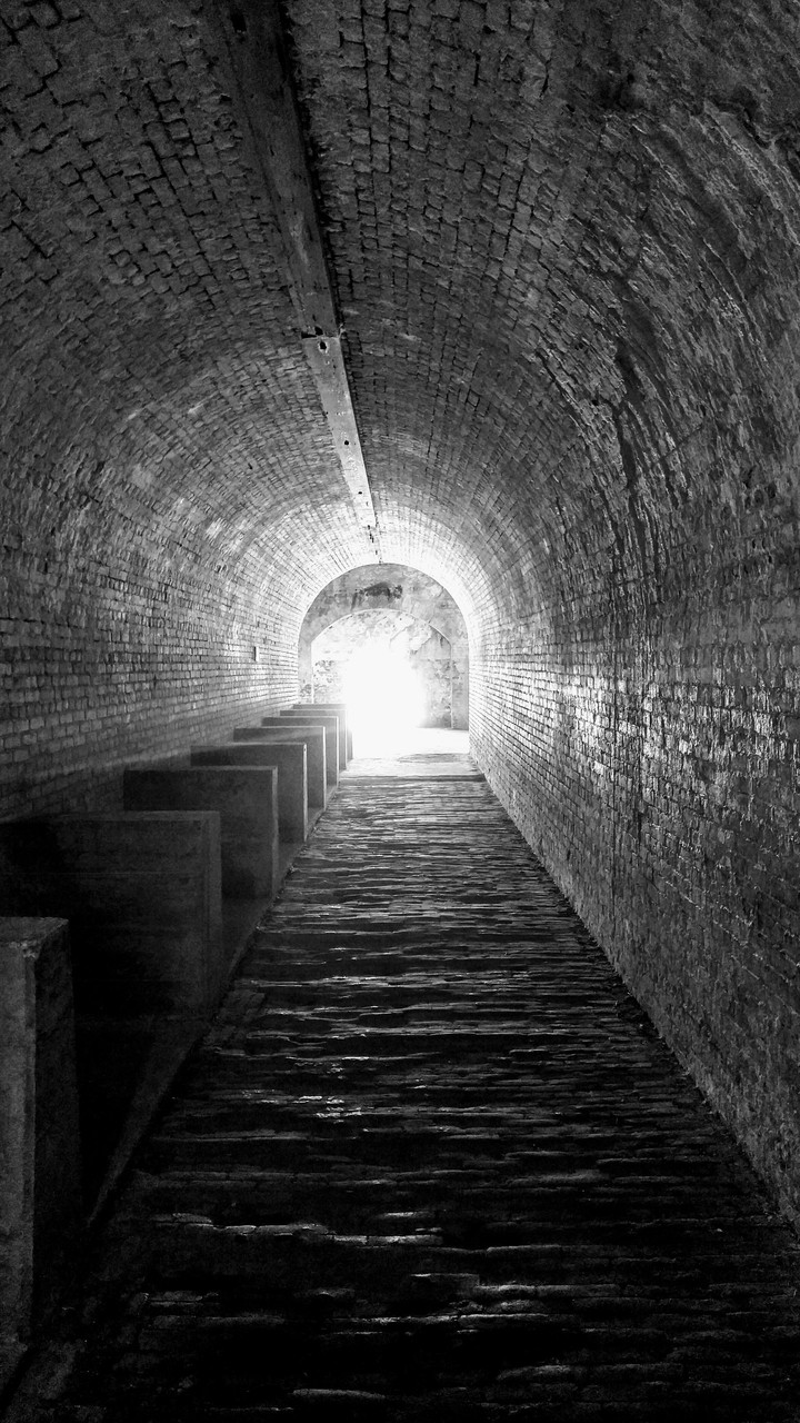 To the Light