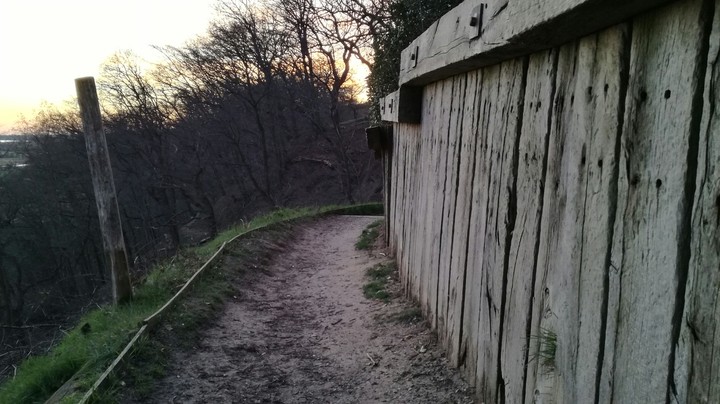 wood