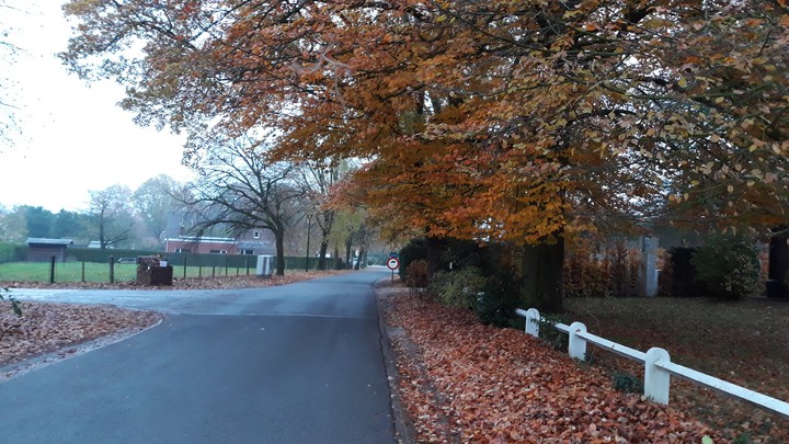 autumn