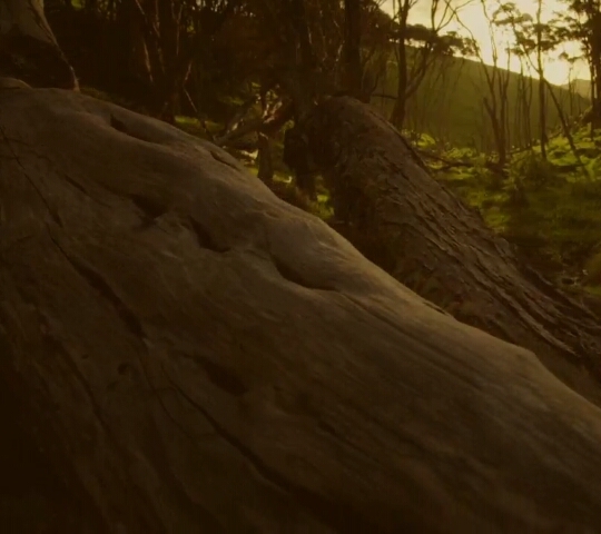 Nature.