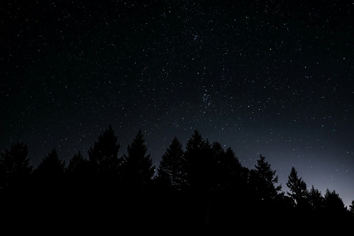 stars