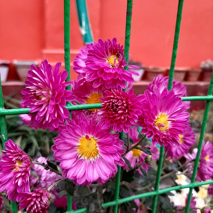Click By Me