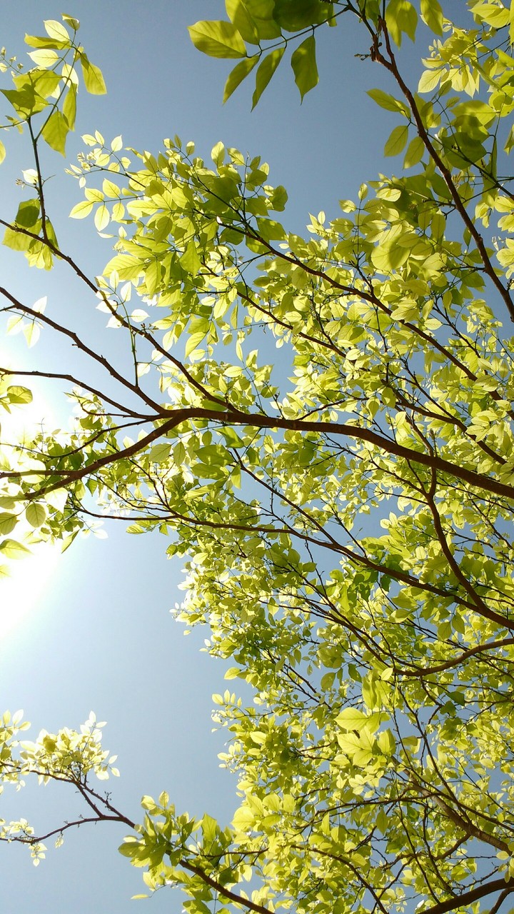 Summer