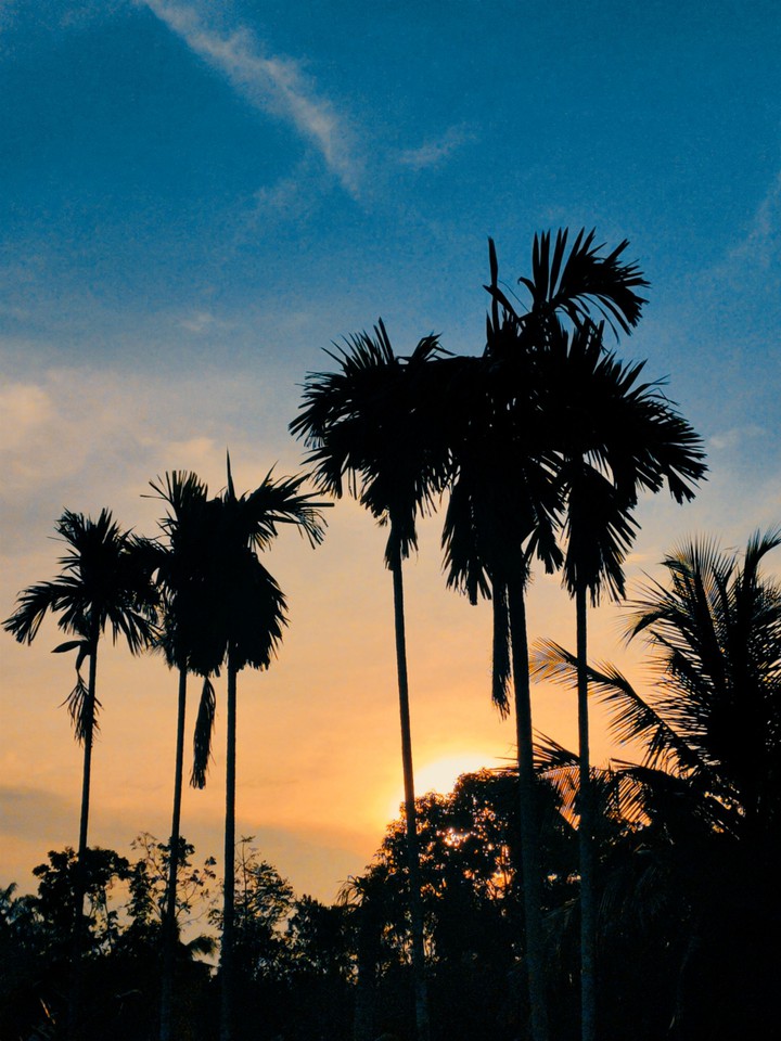 Kerala
