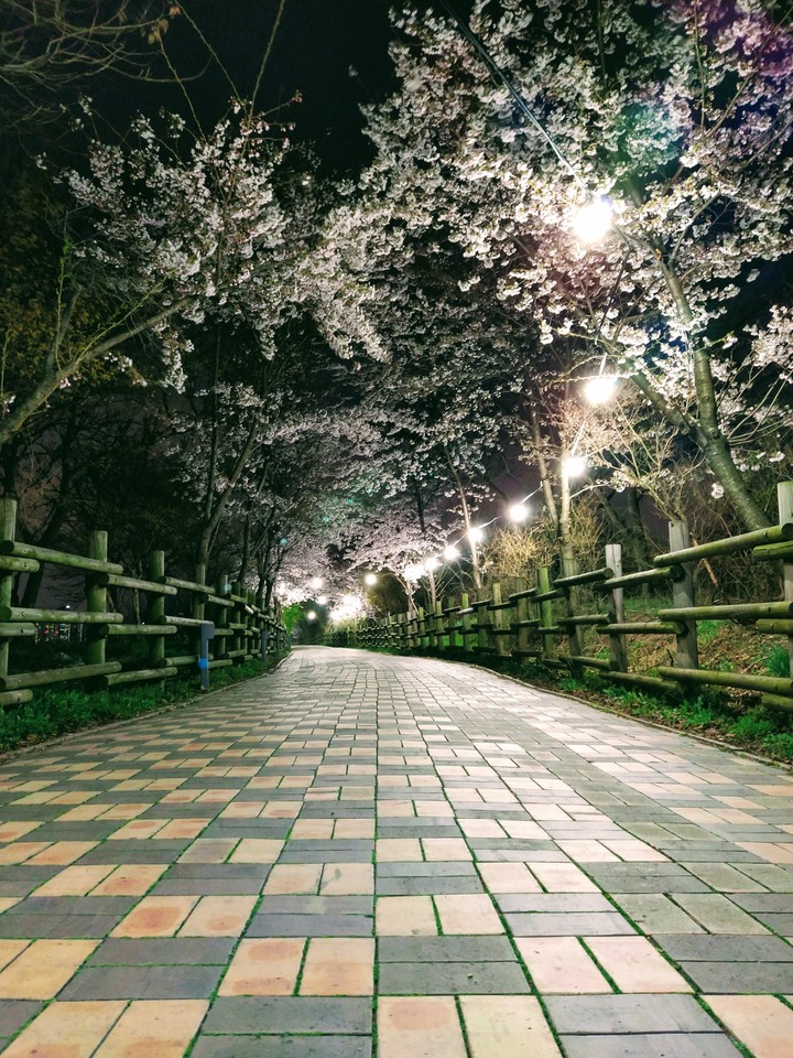 하늘공원