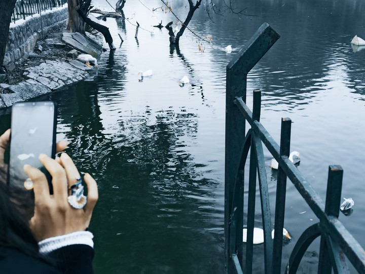 Moody winter along the serene lake