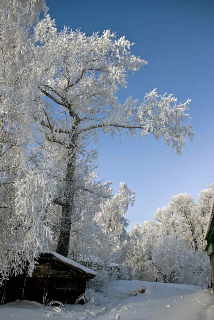 Snow
