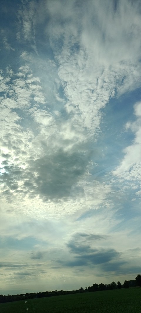 sfondi Field, daytime