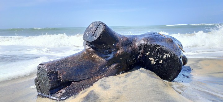 stranded
