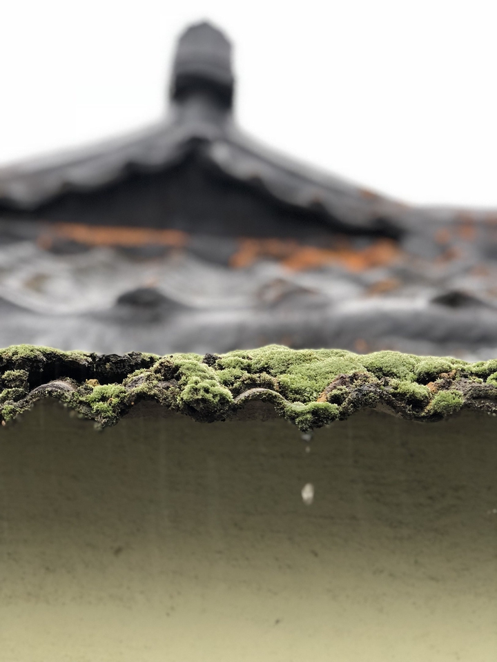 raindrop