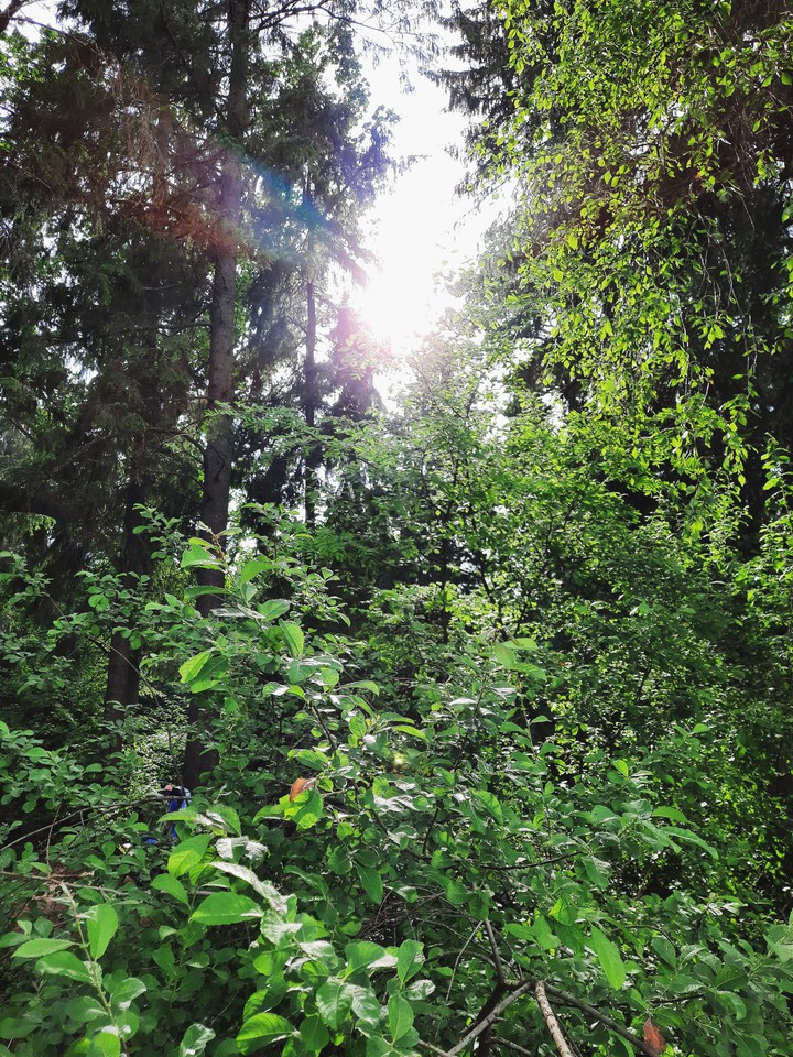 3 pm sunshine