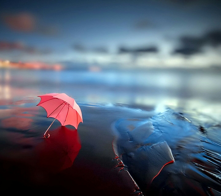 umbrella