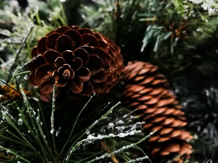 Christmas tree