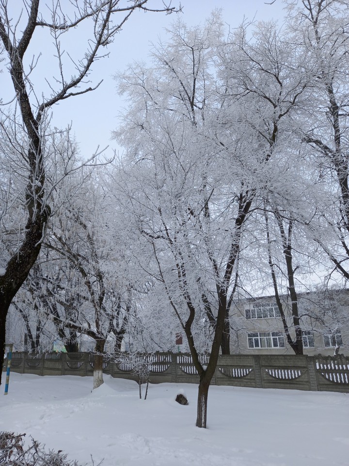 Зима1