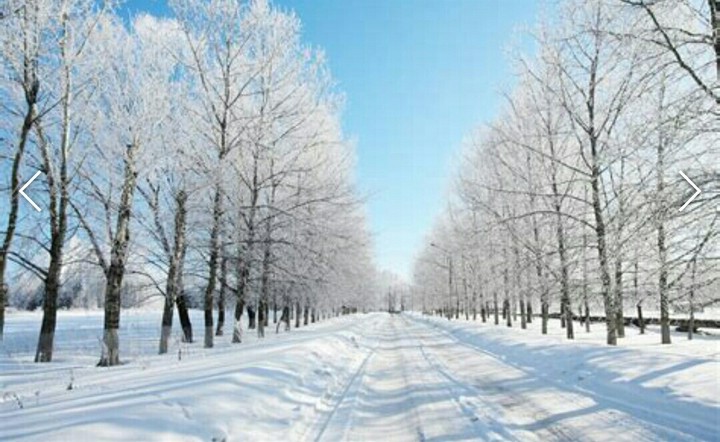 winter