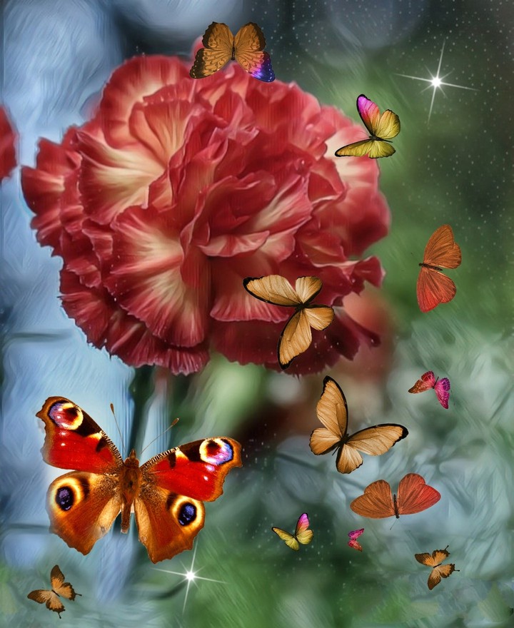 wallpaper...