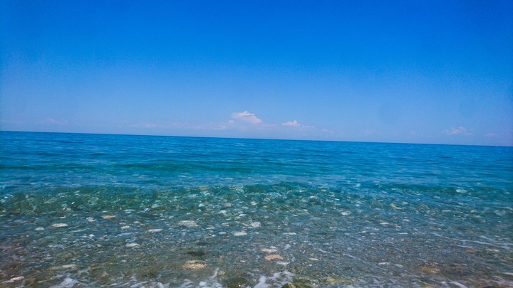 Deep Blue Sea