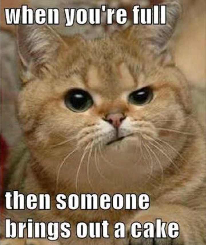 funny quote