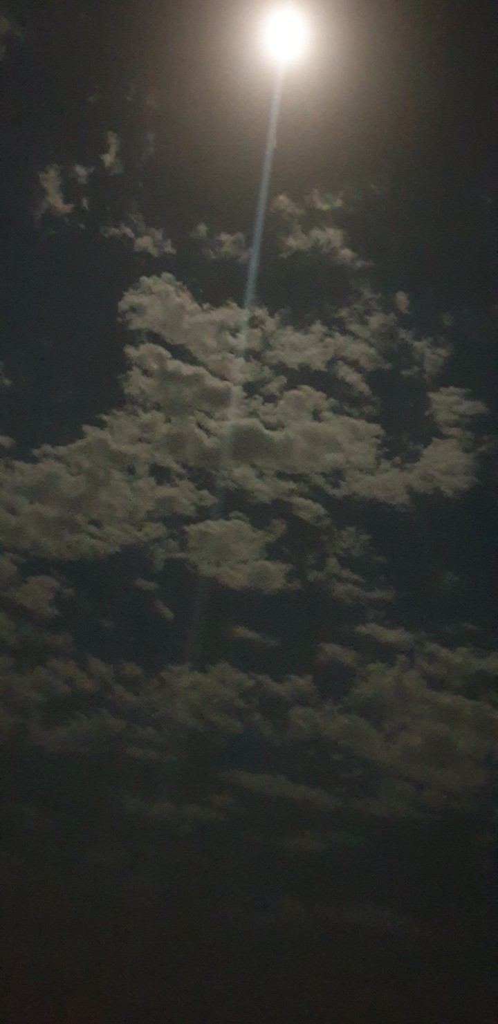 a silent night