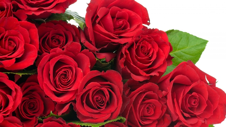 Rosas