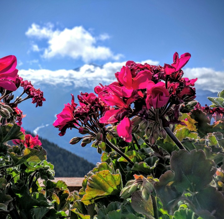 Colors of mother Nature.. Crystal Mountain