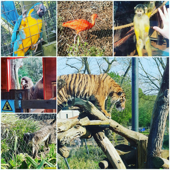 London  Zoo