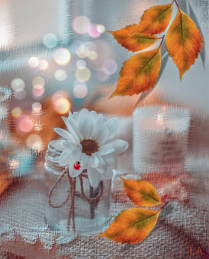 #still_life