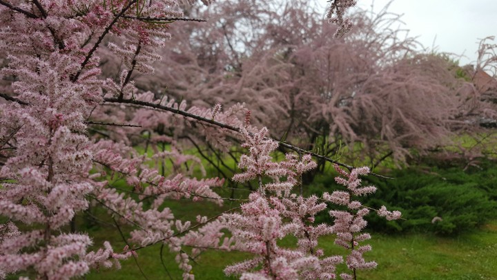 Nature