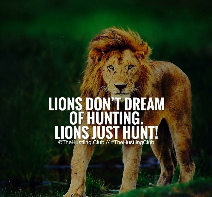 Lion