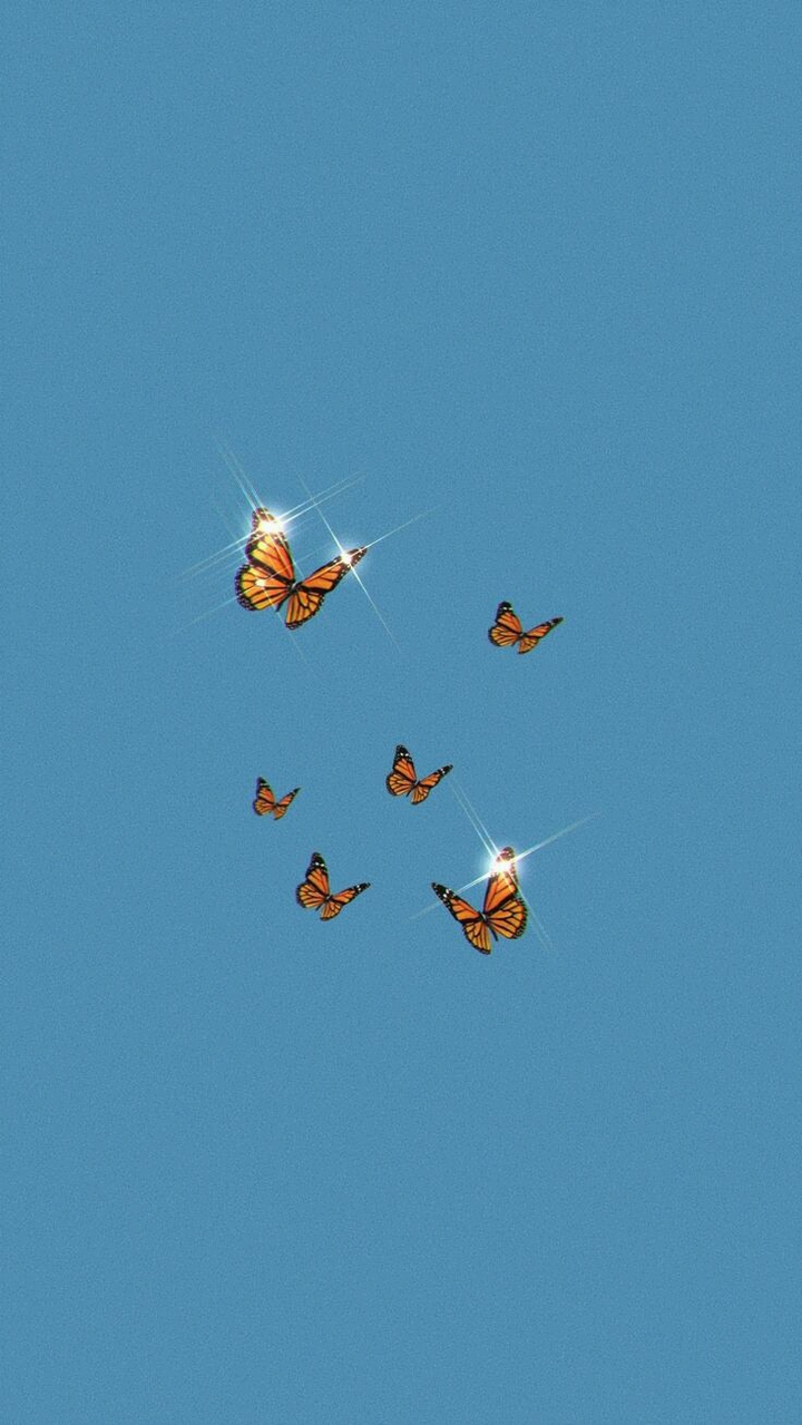 Butterflys
