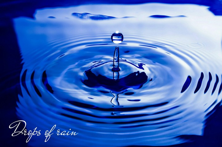 Drops of rain.