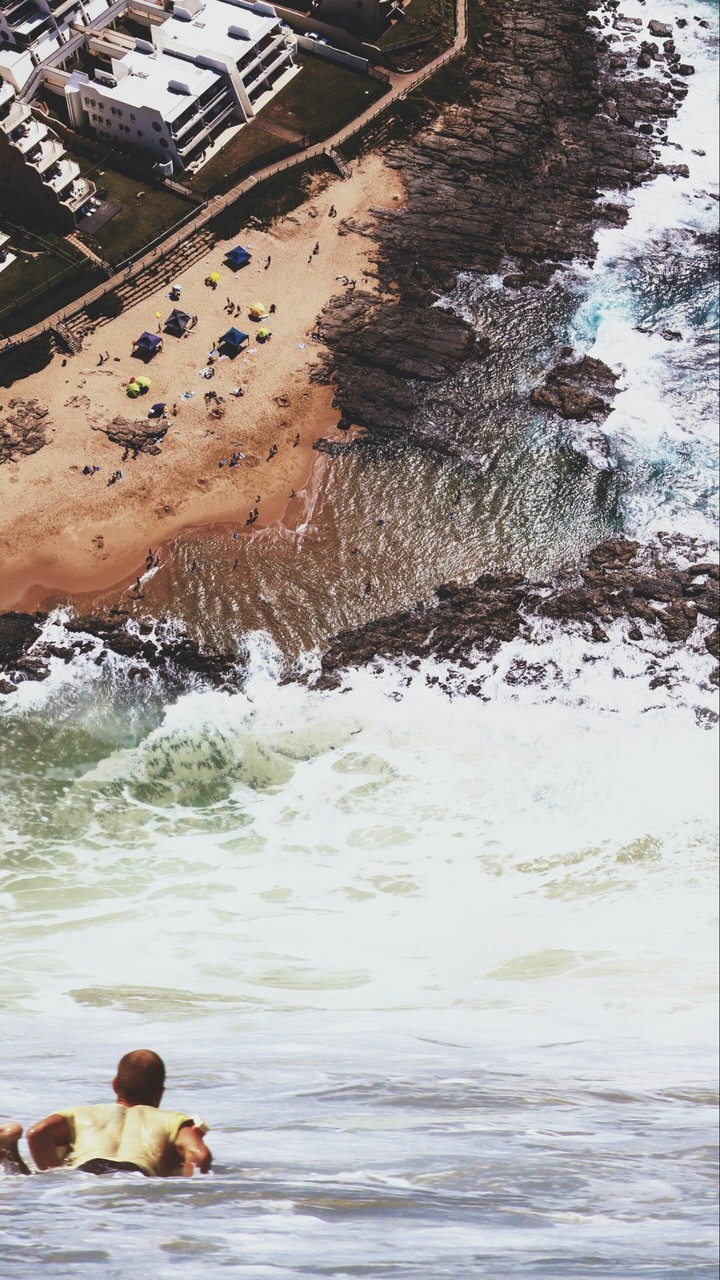 Survival