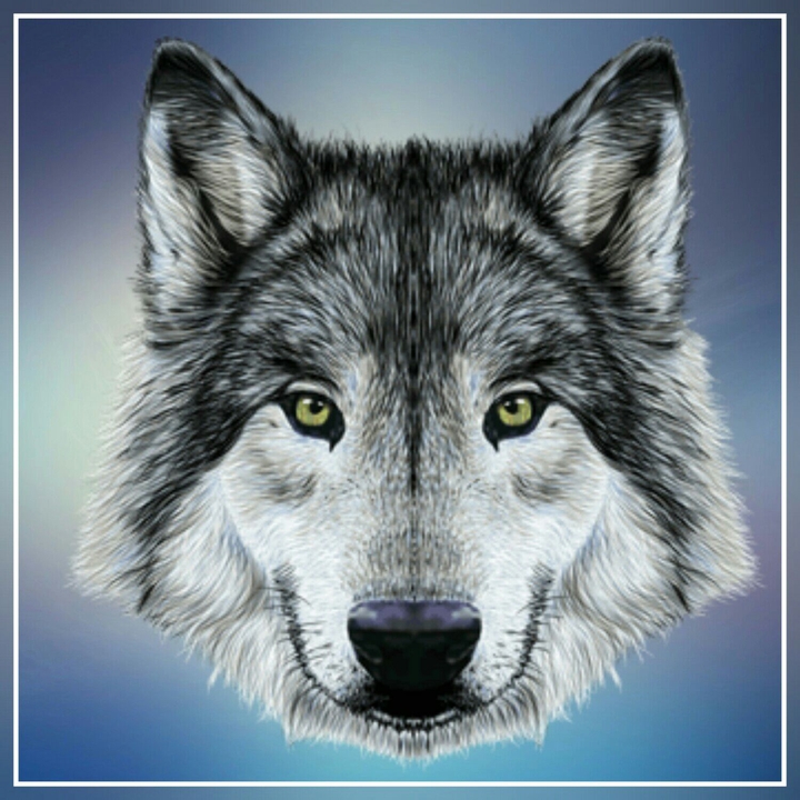 Wolfdog