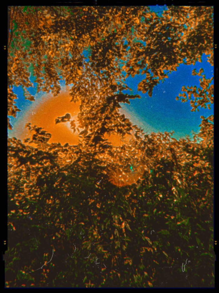 orange juice