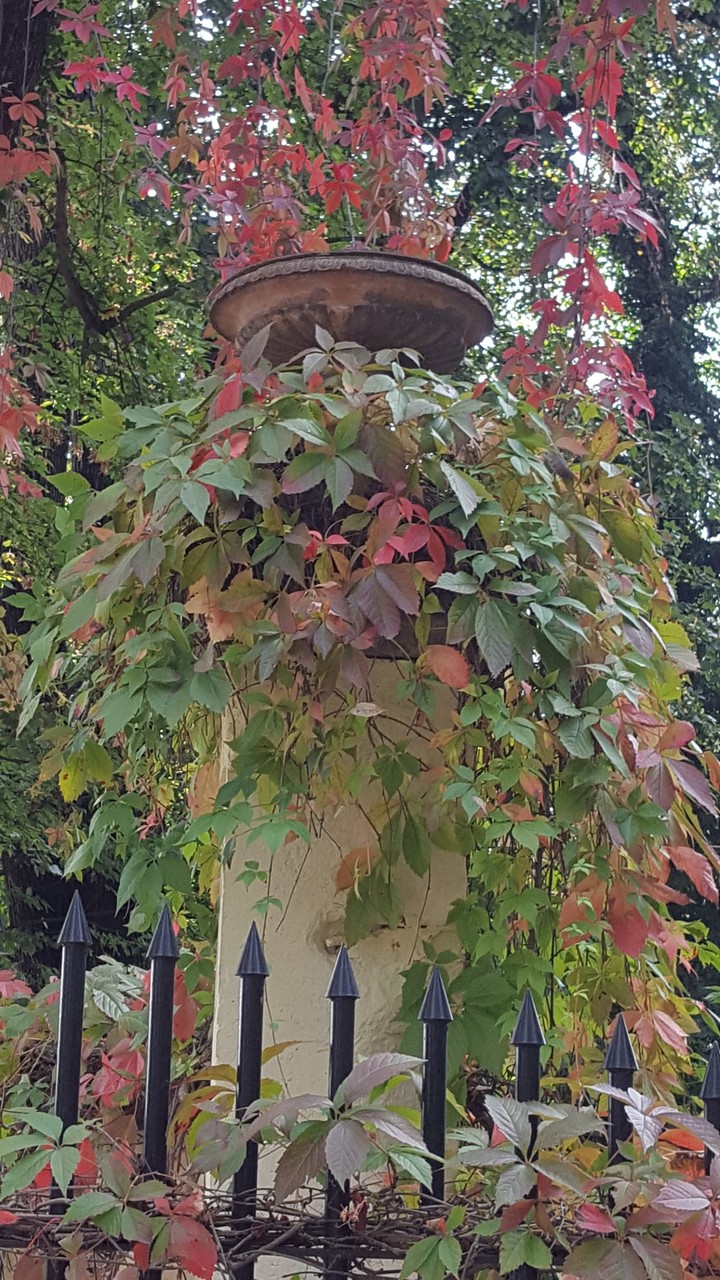 Herbstzauber