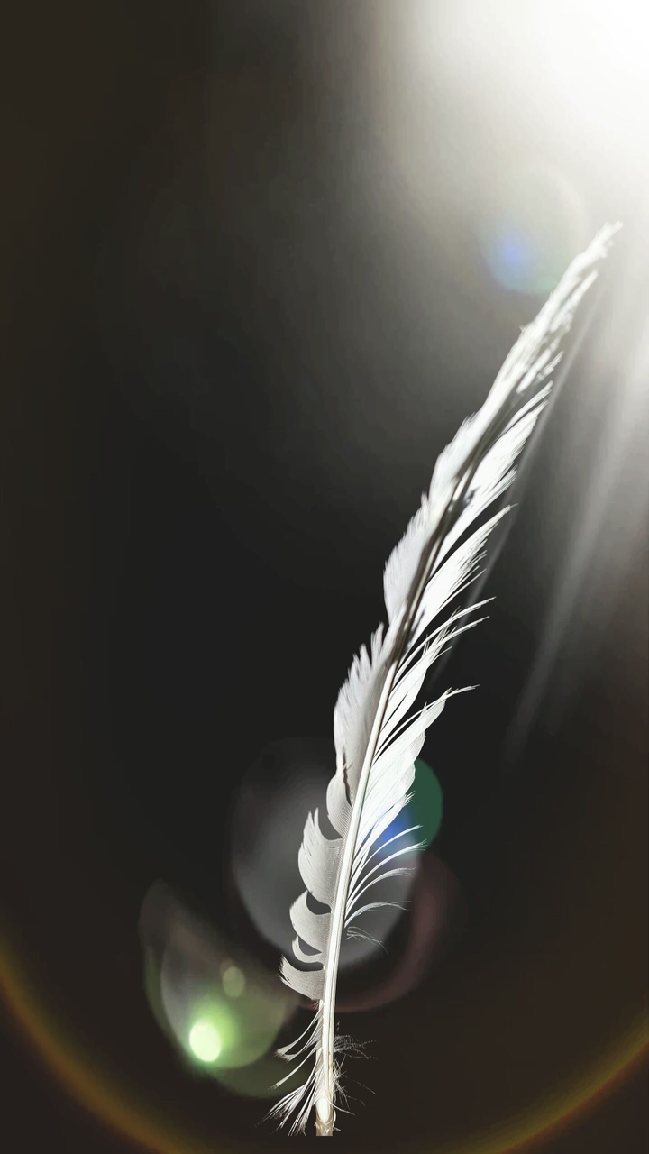 Quill Lights