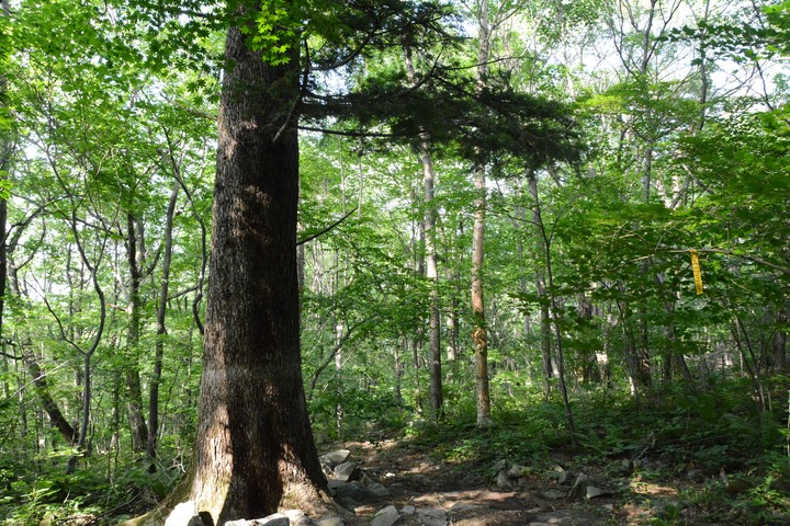 산이미지