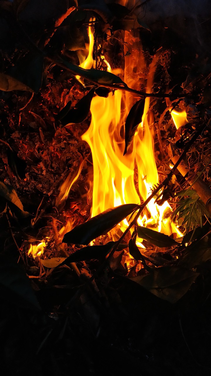 fire