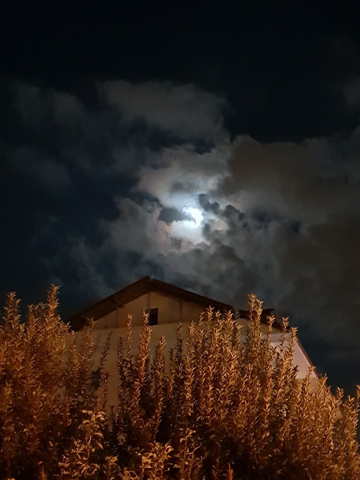 Moonlight
