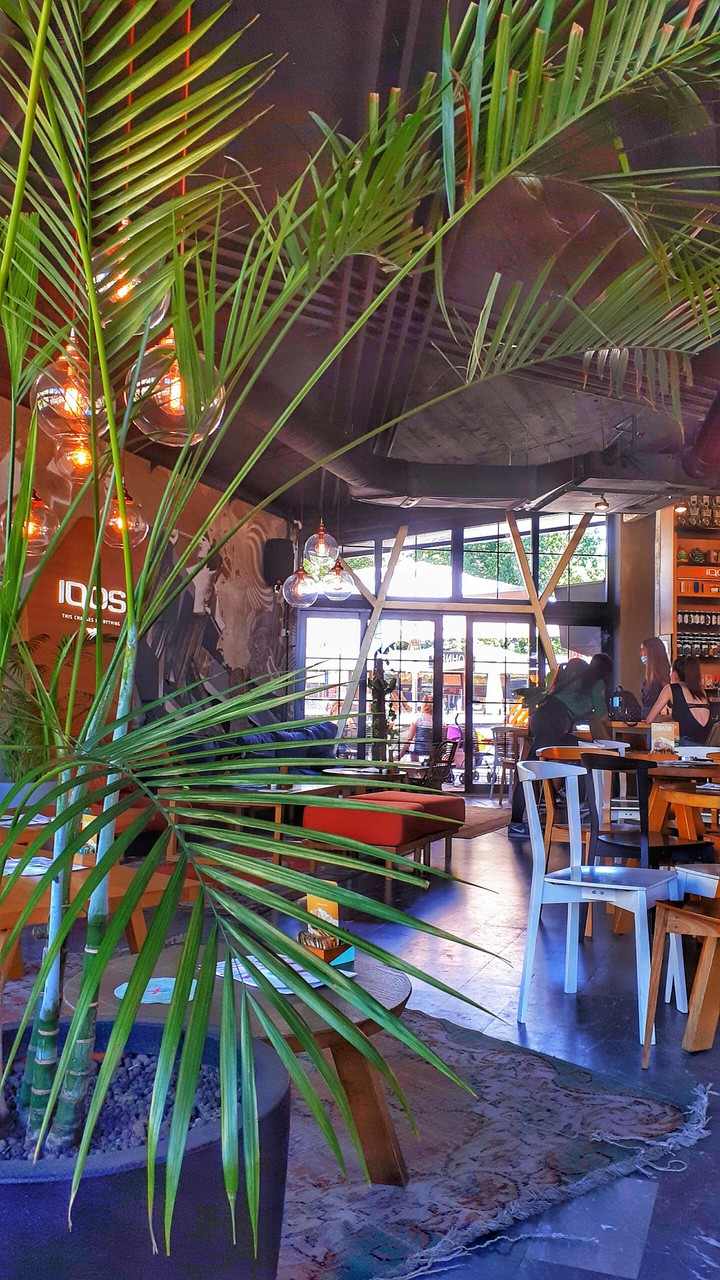 bg caffe