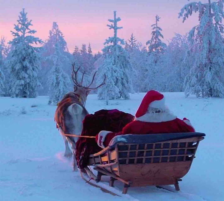 merry Christmas ?