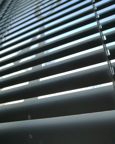 Blind
