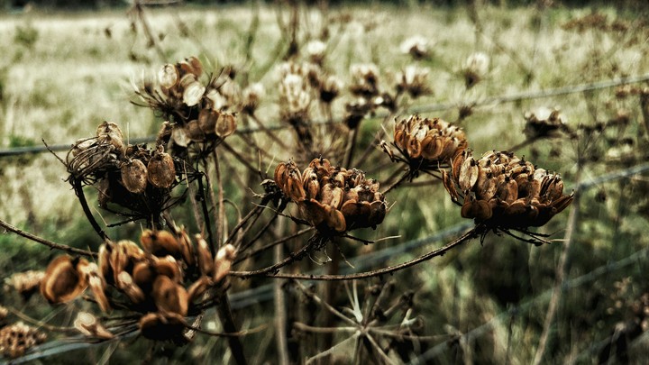 Nature at it finest